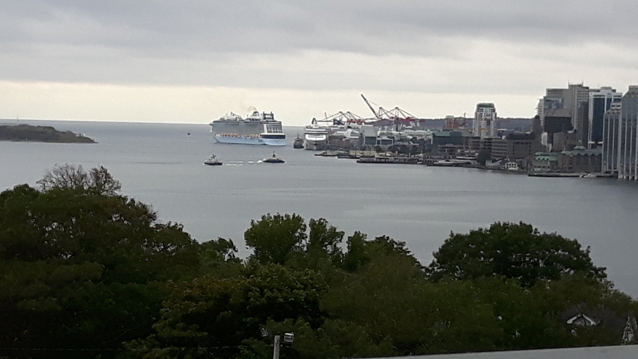 哈利法克斯海景假日酒店-酒店景观