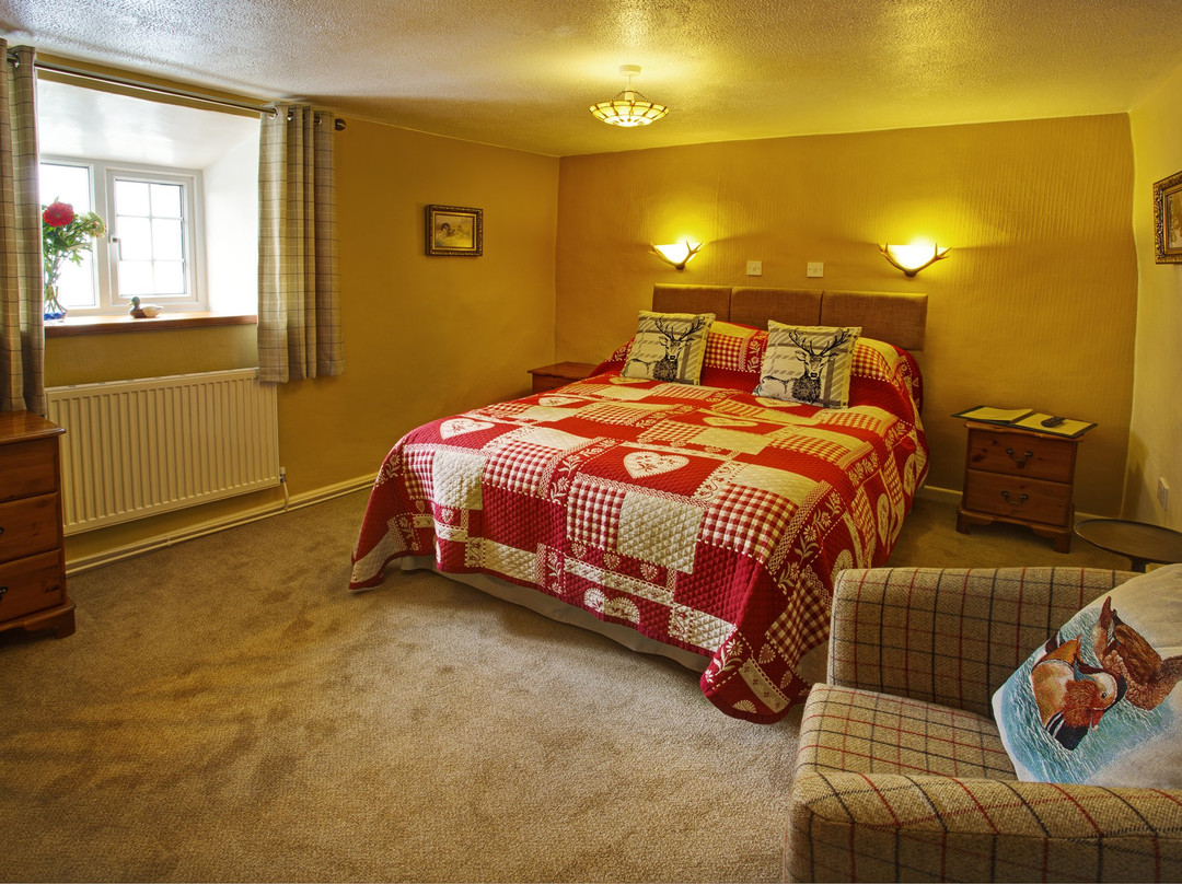 Tinhay Mill Guesthouse主图