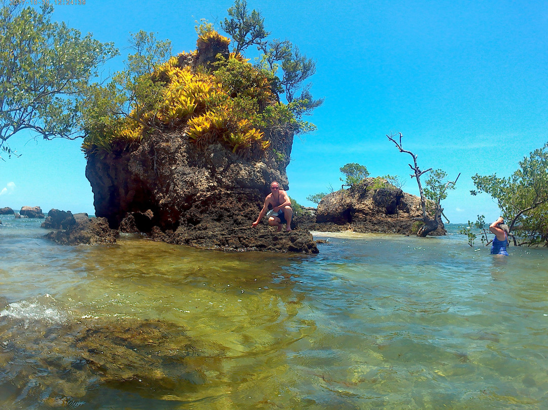 南大河州旅游攻略图片