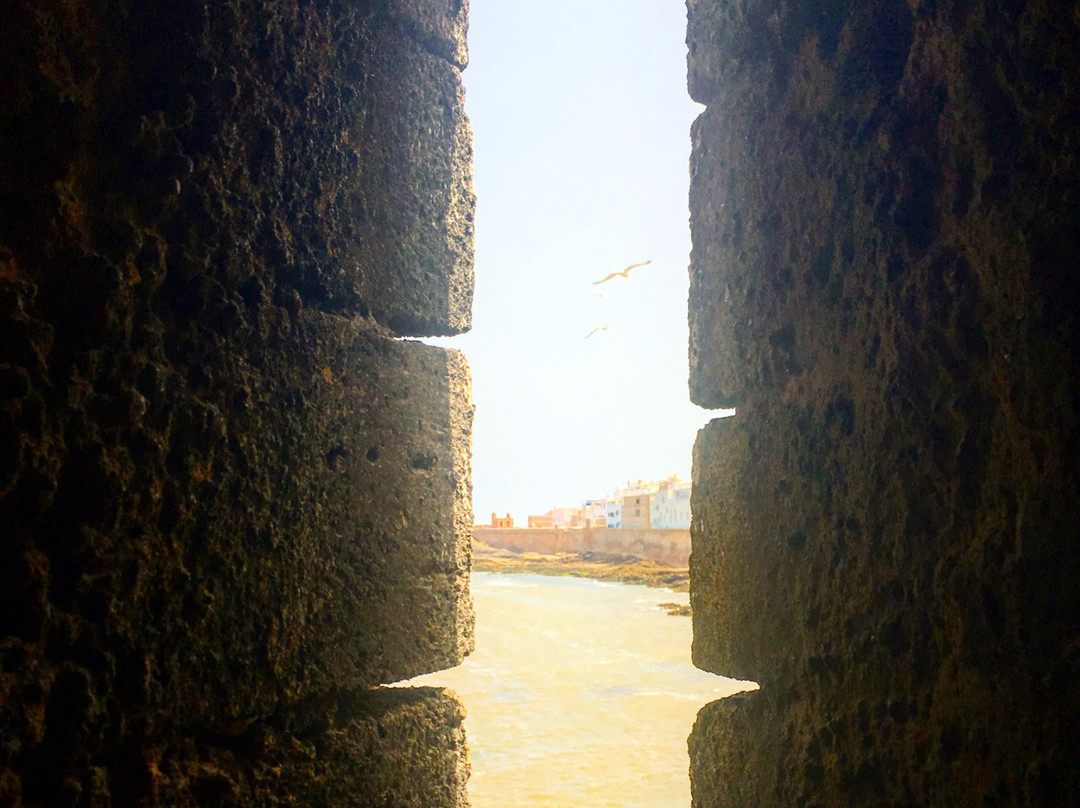 Z Marrakech Travel-迈哈米德必去景点