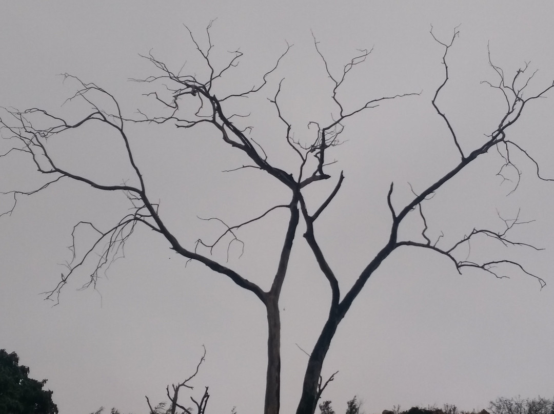 Kloofendal Nature Reserve景点图片