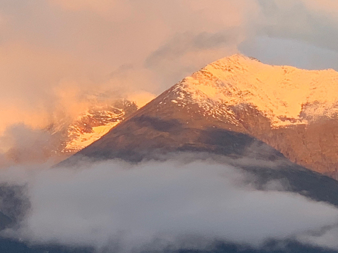 Fireweed Motel主图