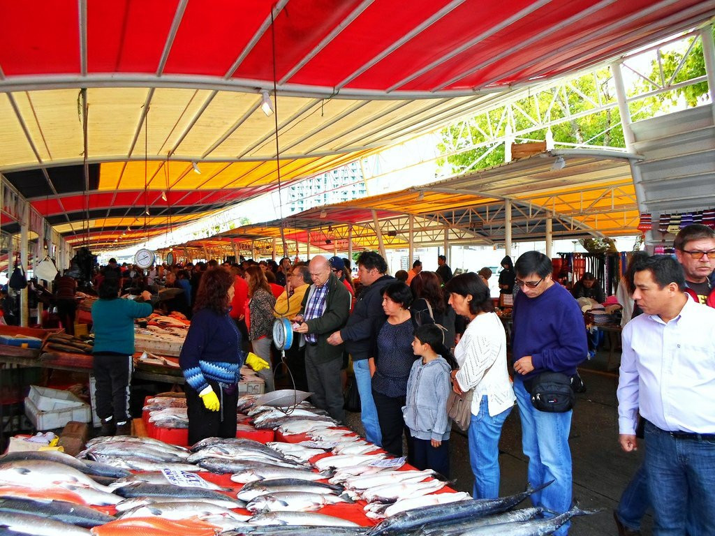 Feria Fluvial de Valdivia景点图片