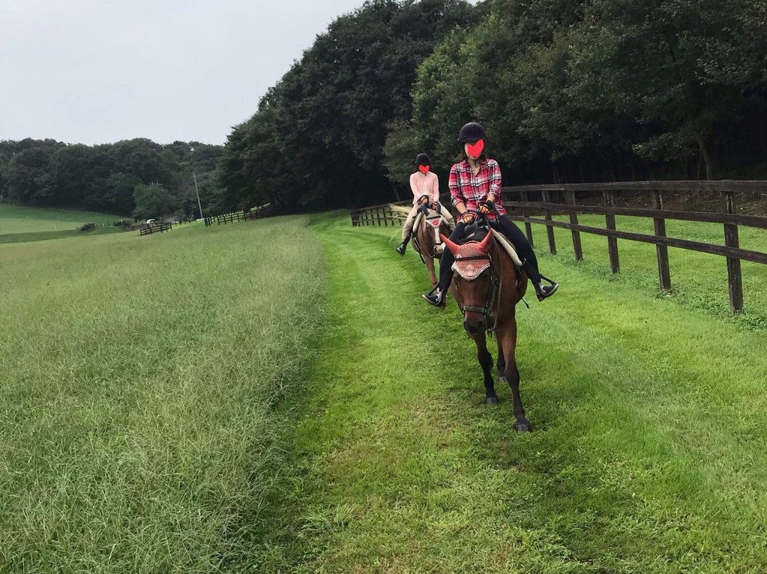 Island Horse Resort Nasu-太田原市必去景点