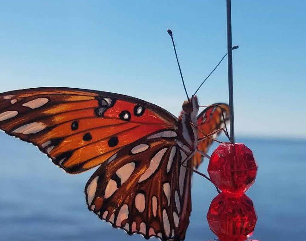 St Marks Outfitters-Saint Marks必去景点