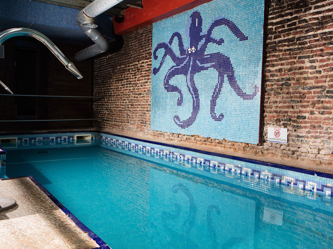 Sauna Octopus景点图片