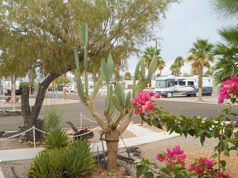 Holiday Palms RV Park