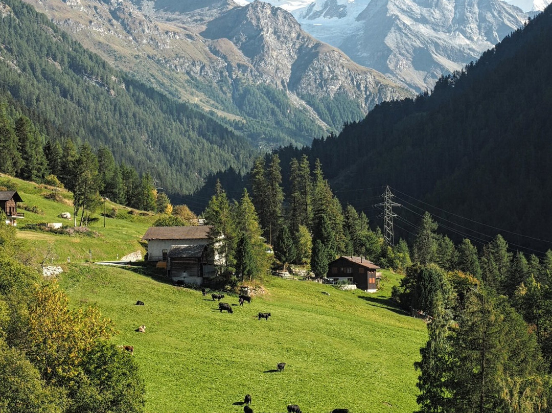 Qi-Lin Hotel Restaurant主图