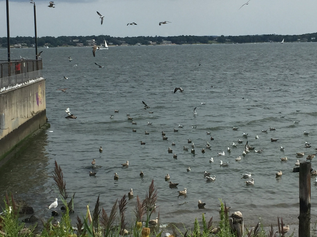 City Island-布朗克斯必去景点