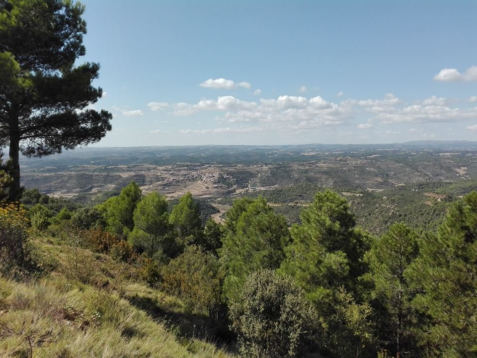 Pico El Fragal景点图片