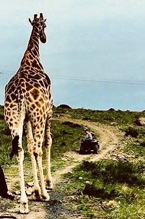 Letubi Quad Biking-玛洛斯帕克必去景点