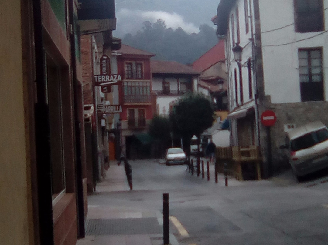 Hotel Cangas de Onis Center主图