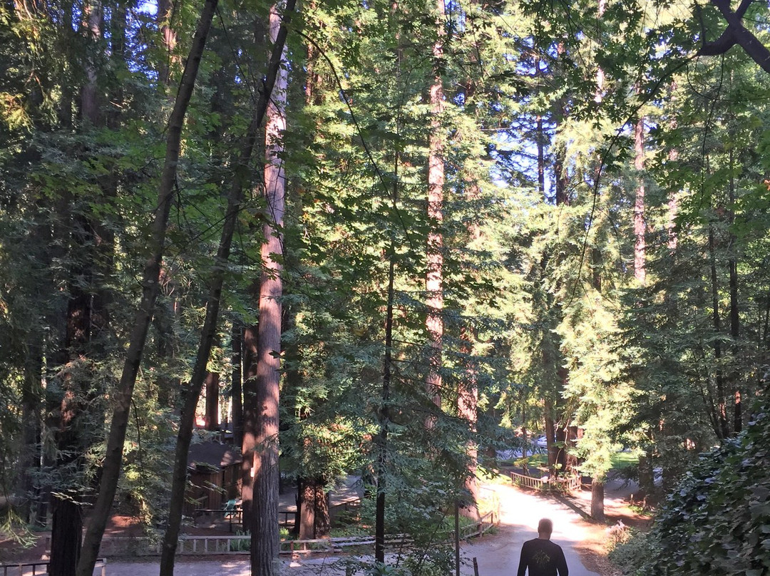 利普伍德度假村主图