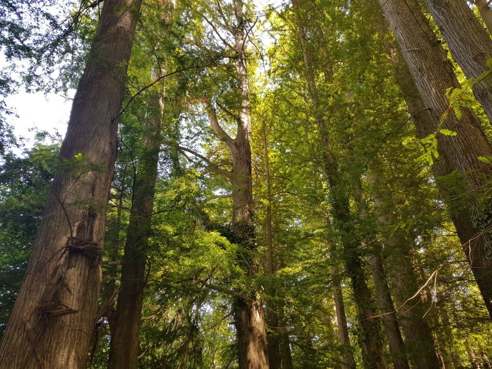 Parc National El Kala-El Kala必去景点