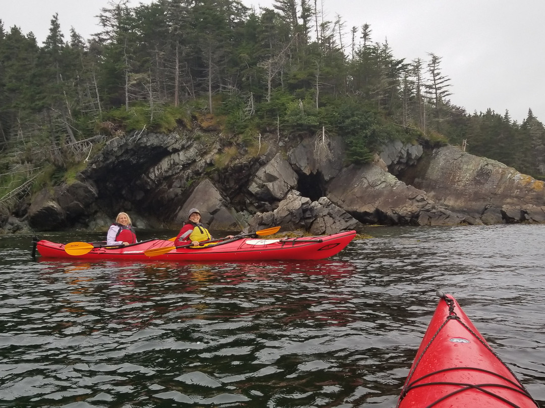 The Outfitters Adventures-Bay Bulls必去景点