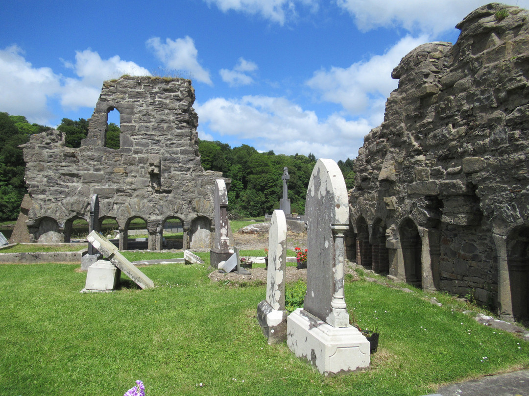 Abbey of the Four Masters (The Abbey)景点图片