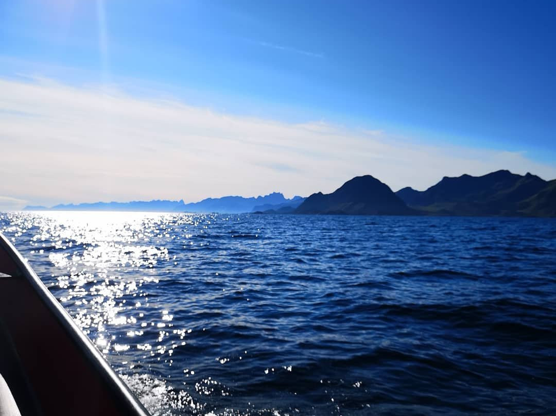 Lofoten fishing & searafting景点图片