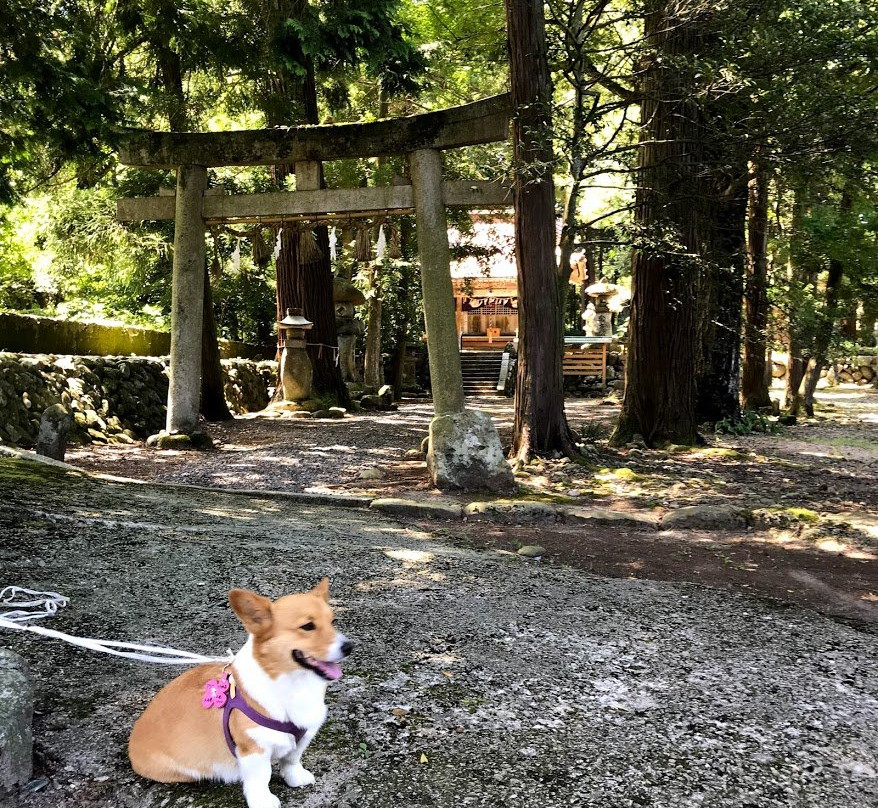 Yakami Menuma Jinja Shrine-鸟取市必去景点
