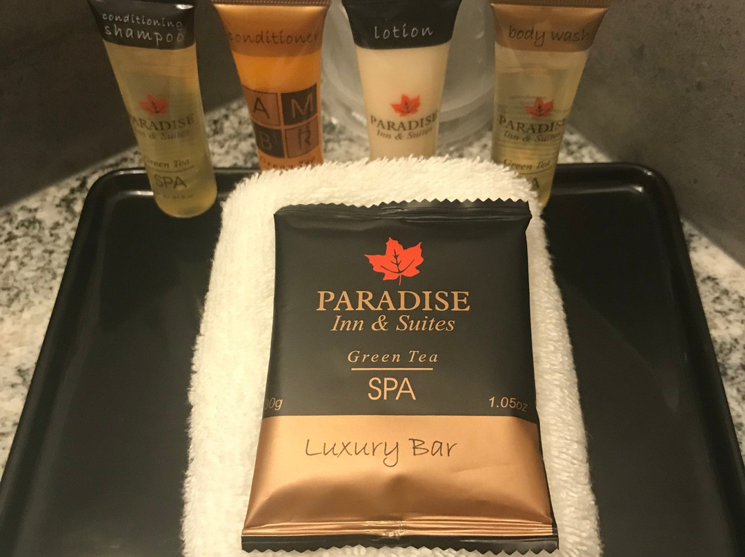 Park Inn by Radisson, Leduc, AB主图