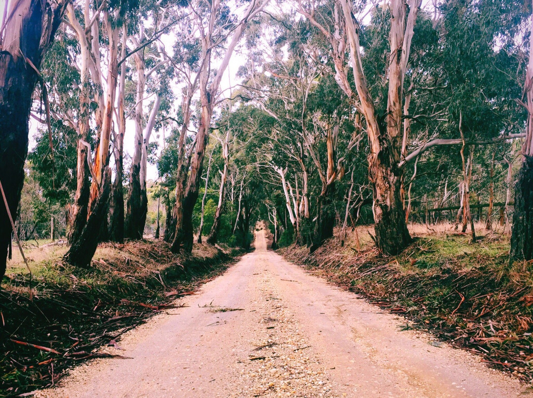 Lal Lal Falls-Lal Lal必去景点