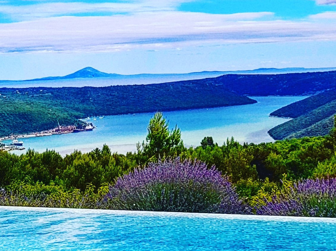 Small Boutique Hotel Villa Stefanija主图