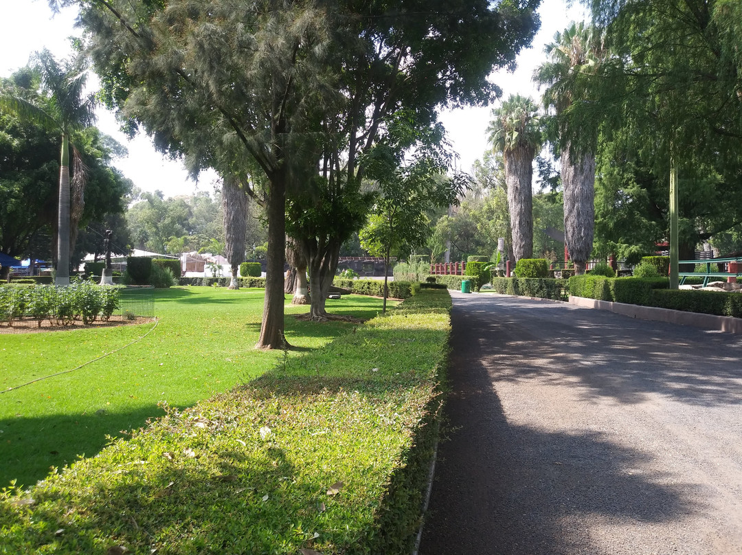 Parque Zoológico Benito Juárez景点图片