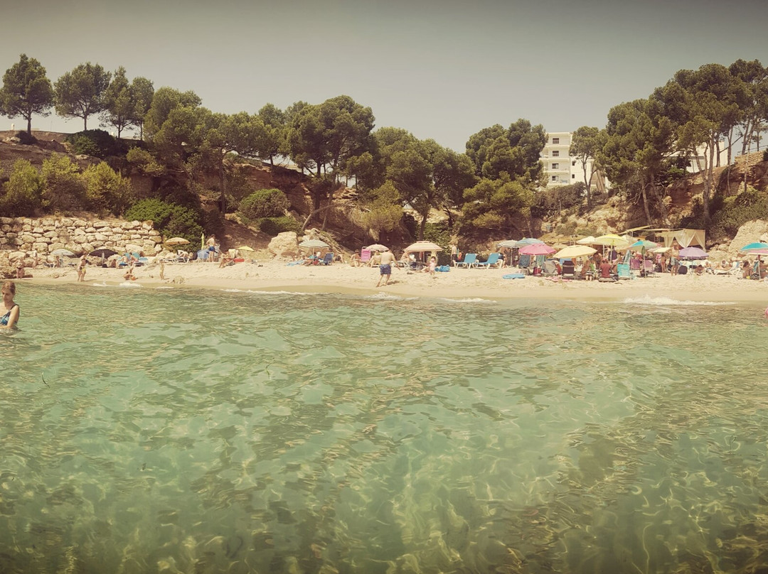 Cala de los Vieneses景点图片