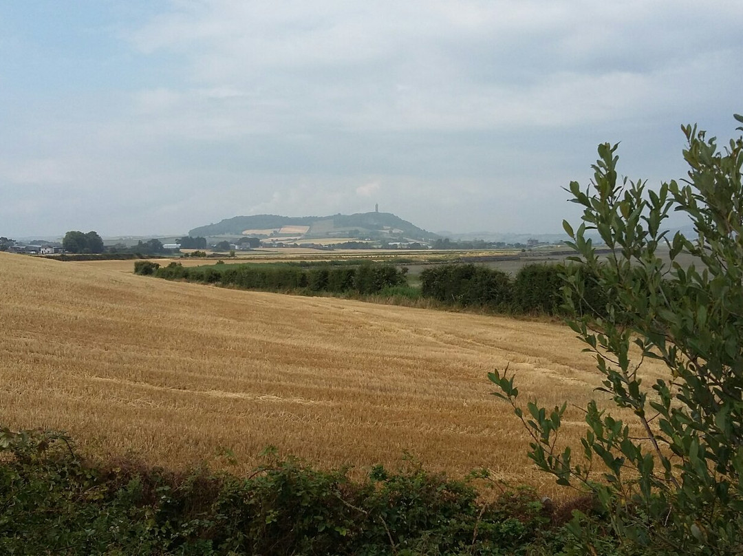 Island Hill & North Strangford Nature Reserve景点图片