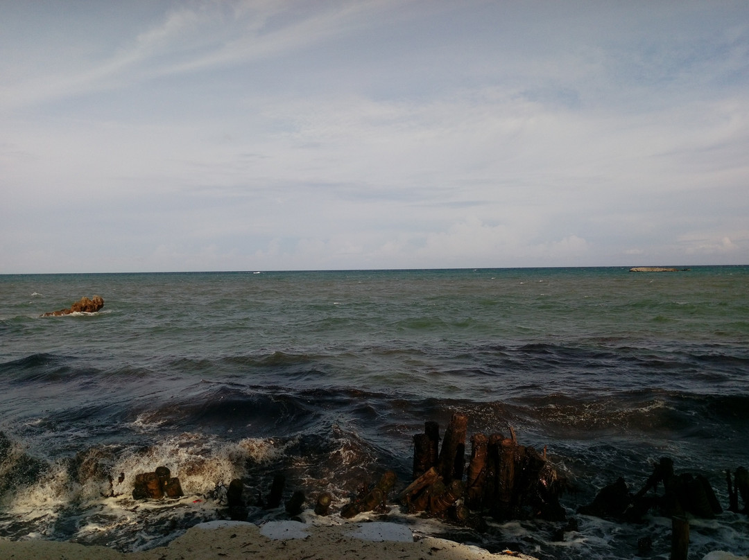 乌龟湾泳滩俱乐部主图