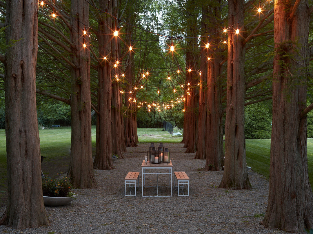 A Room at The Beach主图