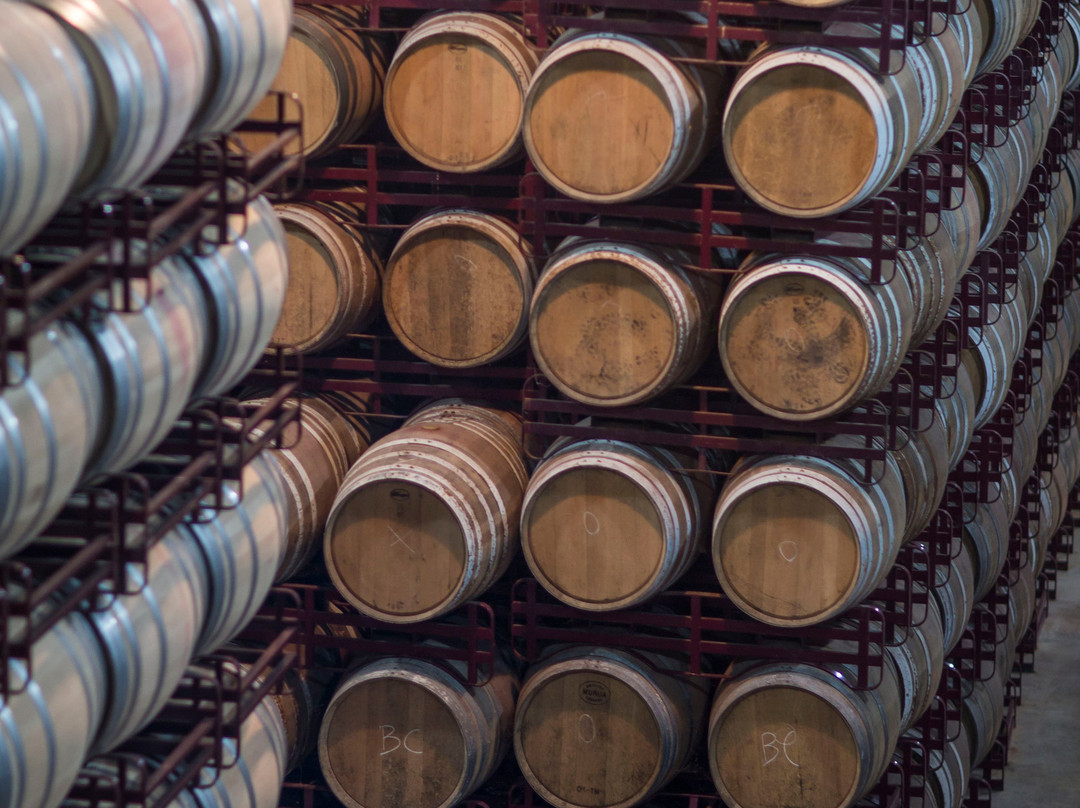 Bodegas Marques de Reinosa-Autol必去景点
