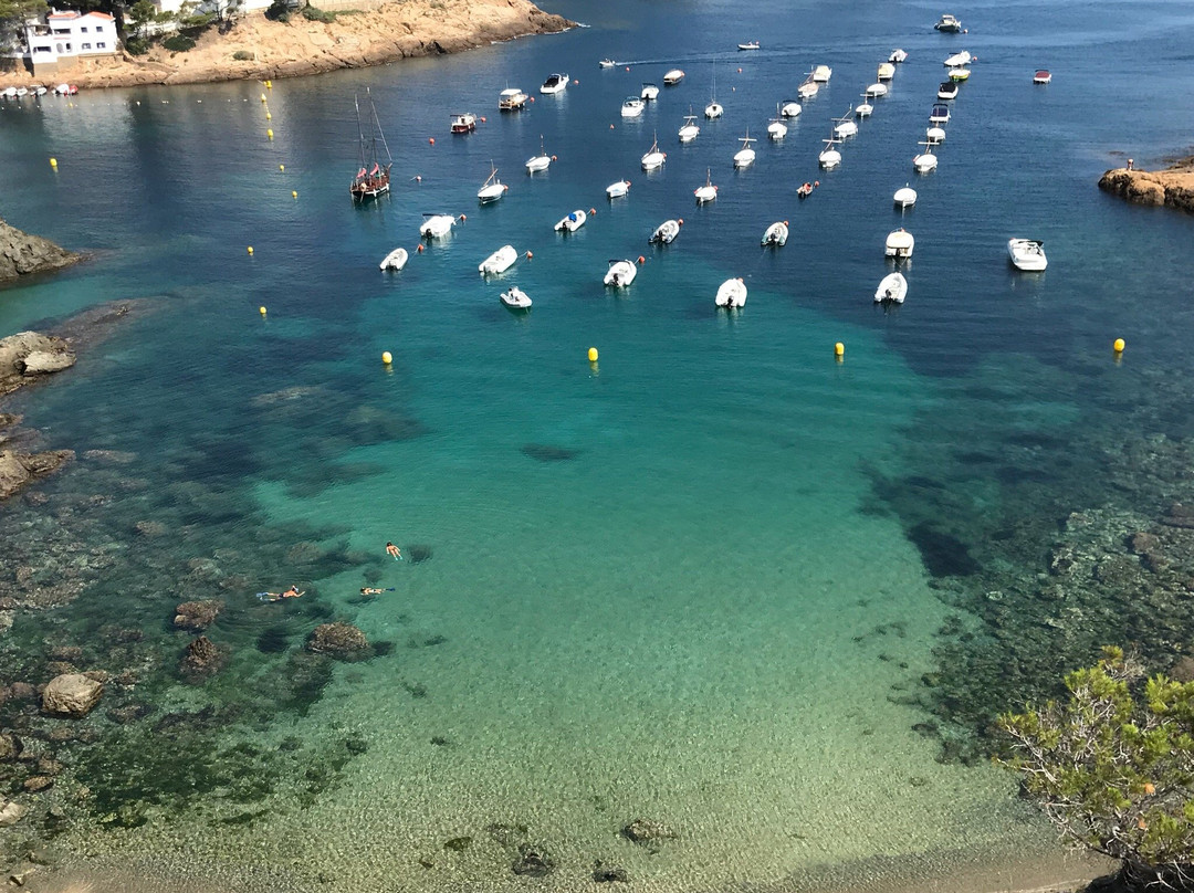 Cala de S'eixugador-贝格必去景点