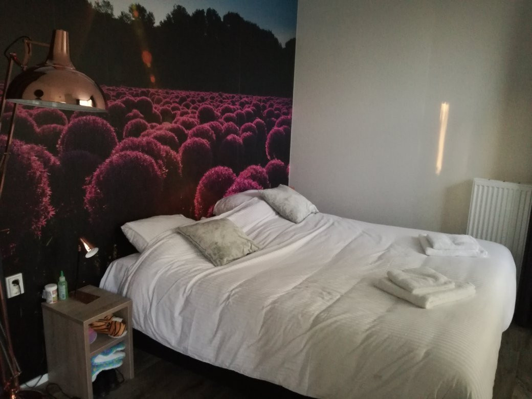 Hotel Herberg 1883主图