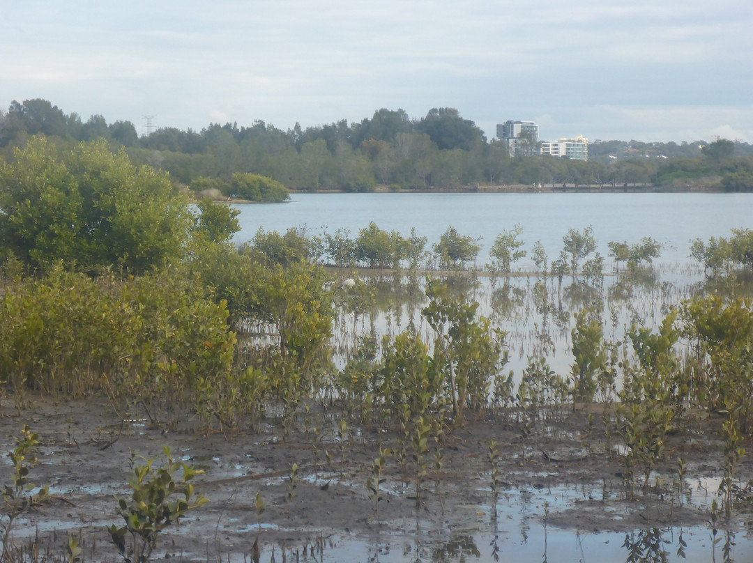 Towra Point Nature Reserve景点图片