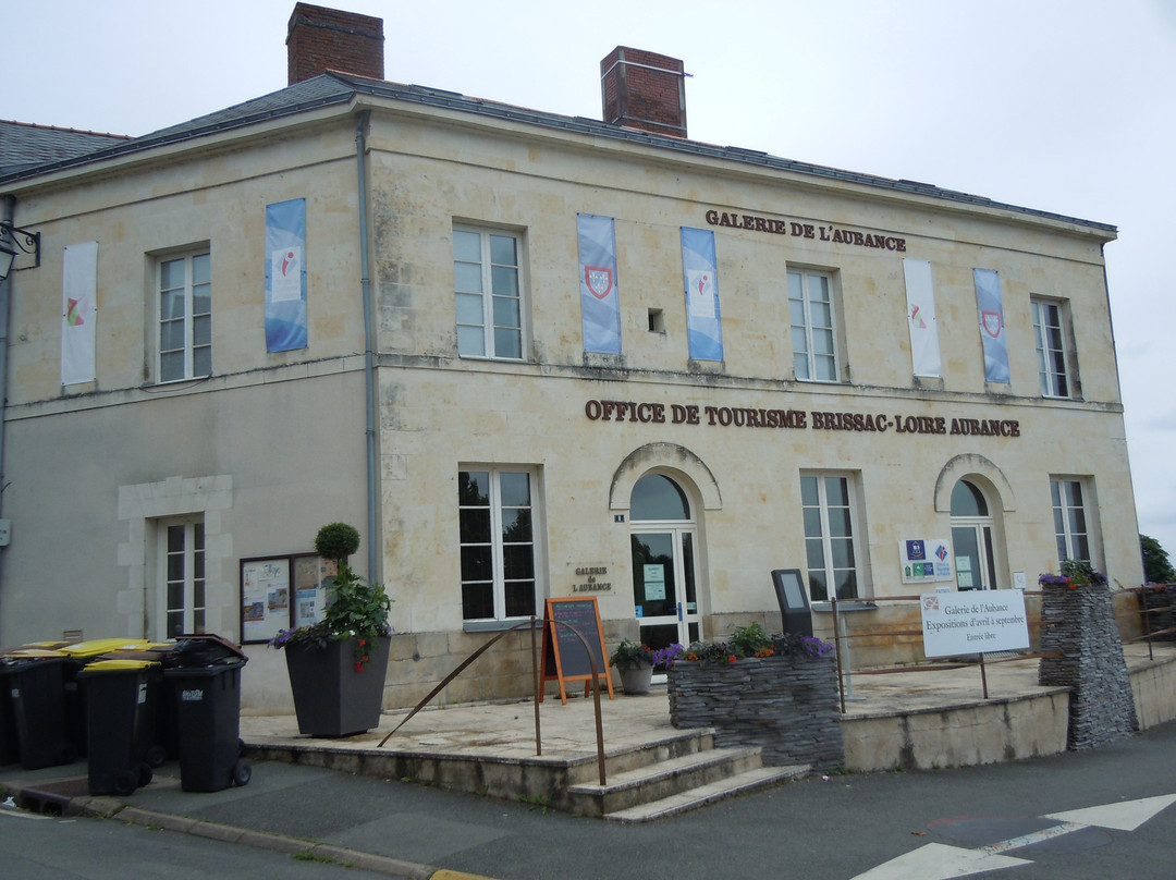 Office de Tourisme Anjou Vignoble Villages景点图片