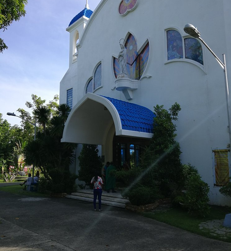 Immaculata Adoration Chapel & Convent (Pink Sisters Convent)-New Washington必去景点