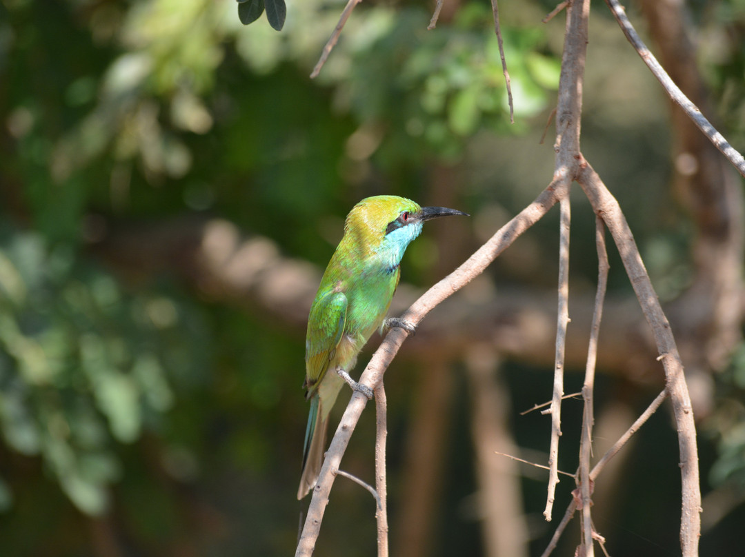 Galle Lanka Tours-加勒必去景点