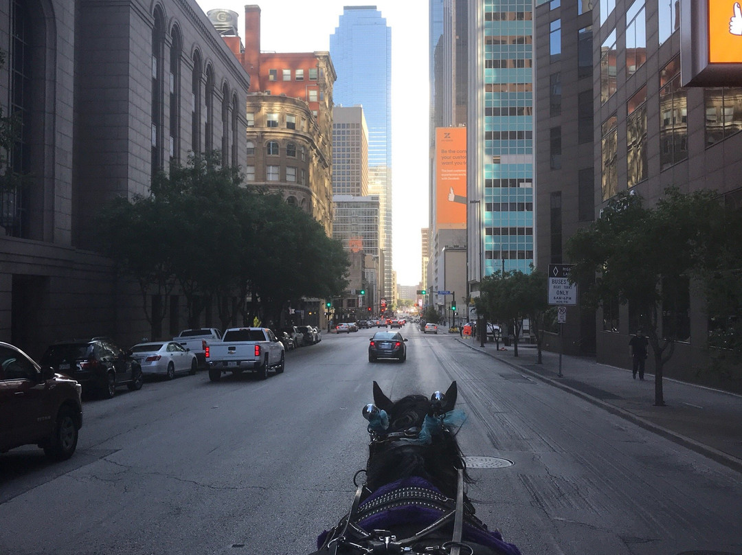 Northstar Carriage-达拉斯必去景点