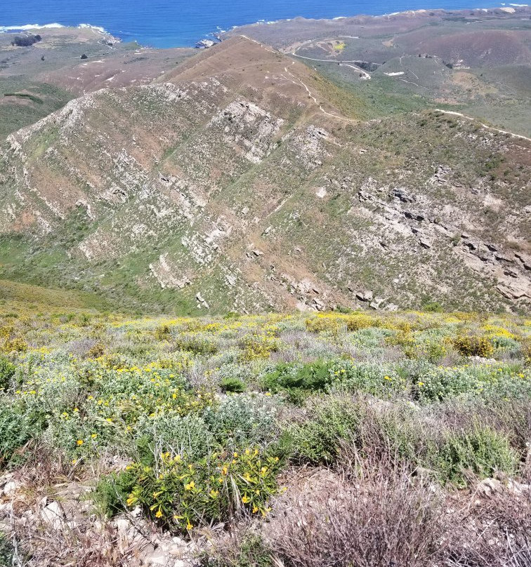 Valencia Peak Trail景点图片