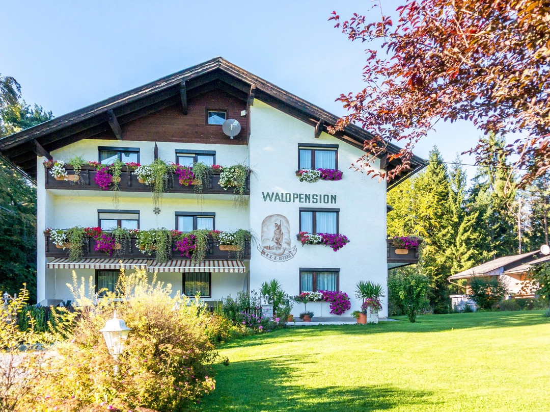 Waldpension Schiefling am See主图