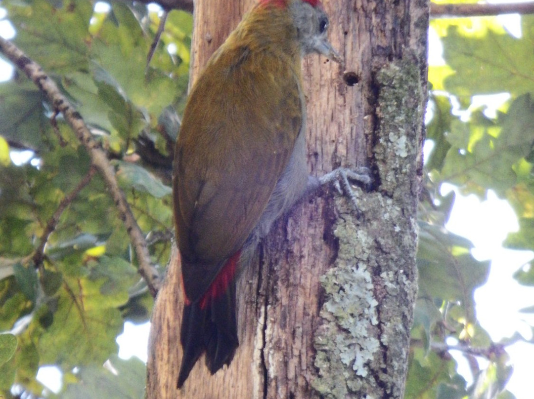 Crossroads Meander主图