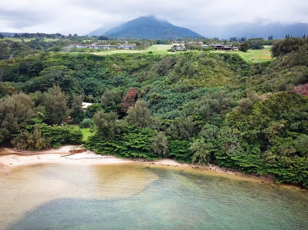 Wyllie's Beach-基拉韦厄必去景点