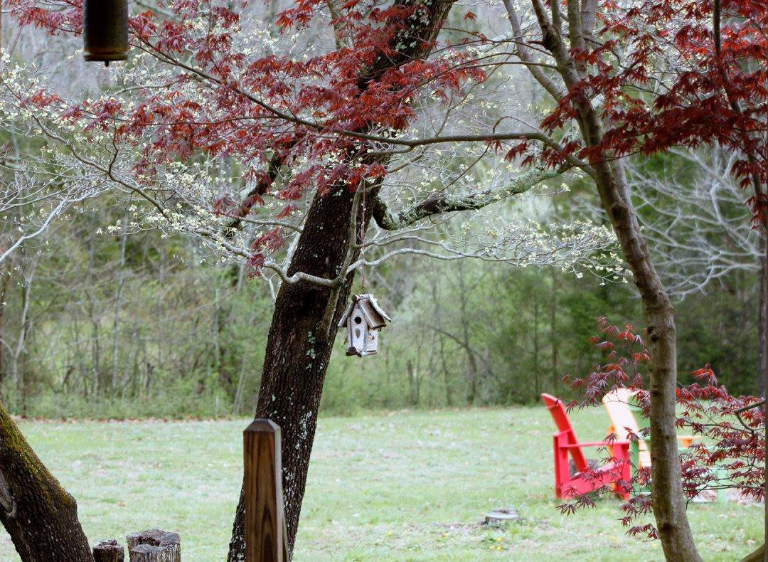 Sisters on Sycamore Bed & Breakfast主图