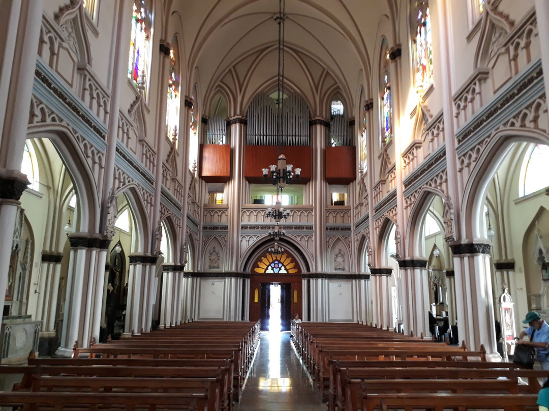 Basilica Nossa Senhora de Lourdes景点图片