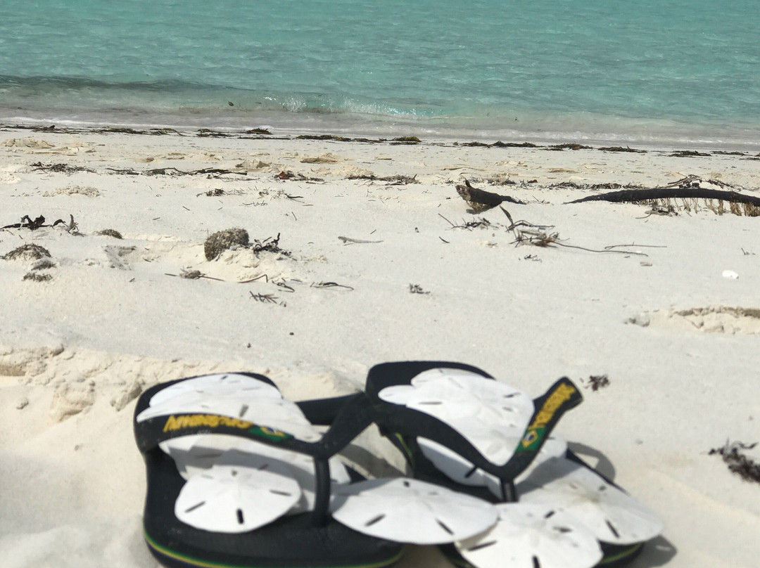 Straw Market-George Town必去景点