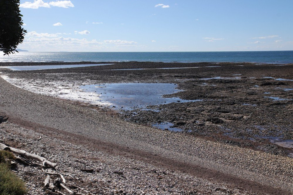 Lillico Beach Conservation Area-Lillico必去景点