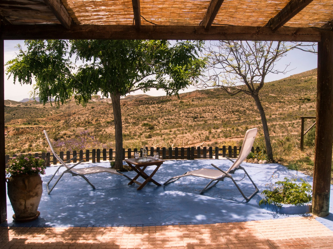 Estels Naturalicante-主图