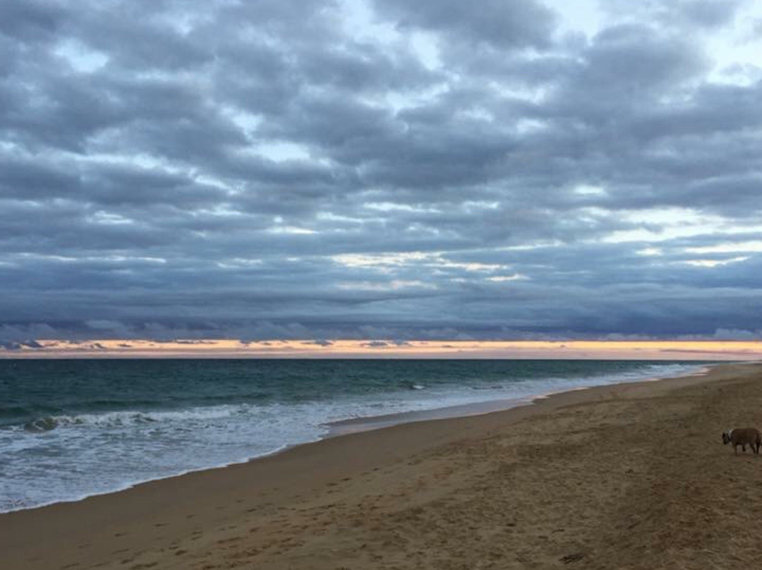 Lake Reeve Lookout-Golden Beach必去景点