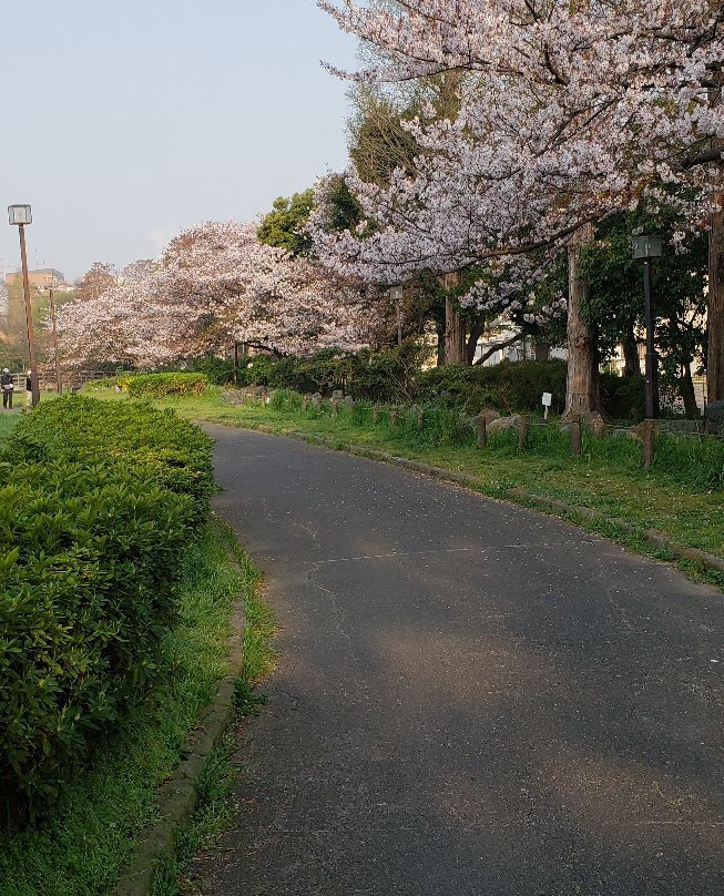 Shobu Numa Park景点图片