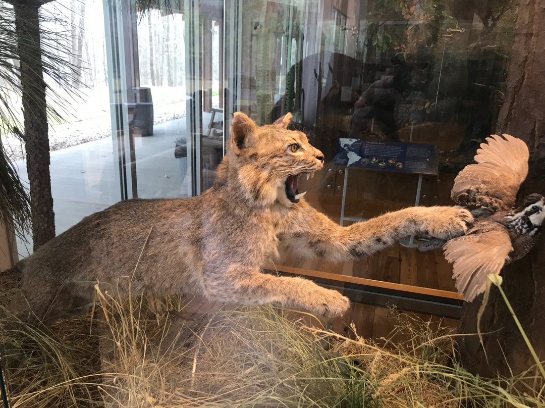 Merchants Millpond State Park-Gatesville必去景点